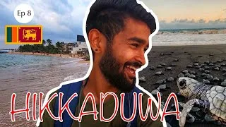 Thumbnail: Best place for experiencing baby sea turtles hatching | Hikkaduwa Sri lanka Travel Vlog|Ajinkya Band