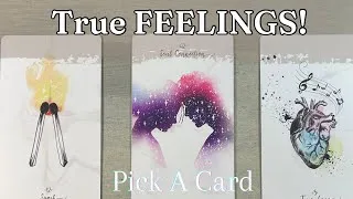 Thumbnail: Their TRUE FEELINGS for YOU!! DETAILED Pick A Card Love Tarot Relatioship Reading  * Timeless