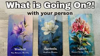 Thumbnail: What is Happening with Your Person?! Little -No Contact Love Pick A Card Timeless Tarot reading