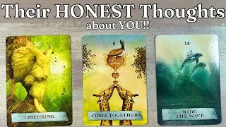 Thumbnail: 💬🤔💭 Their HONEST Thoughts about You!!  Detailed Love Pick A Card Timeless LOVE Tarot reading