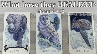 Thumbnail: What Have They REALIZED about You?!?  Detailed Love Pick A Card Timeless Tarot reading