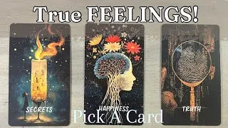 Thumbnail: Their TRUE FEELINGS for YOU!! DETAILED Pick A Card Love Tarot Relatioship Reading  * Timeless