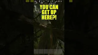 Thumbnail: You Can Hide in the TOP of Jungle Trees in Rust?!