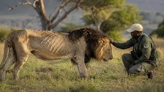 Thumbnail: Animals That Asked People for Help & Kindness!