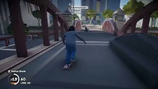 Thumbnail: Skate borb