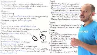 Thumbnail: Takotsubo cardiomyopathy (stress-induced cardiomyopathy)