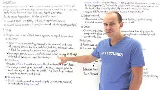 Thumbnail: Hypernatremia (etiology and evaluation)
