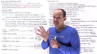 Thumbnail: Acetylcholine, acetylcholine receptors and medications overview