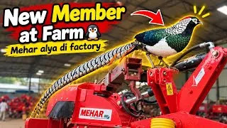 Thumbnail: New Member at Ratth stud farm🐎//Mehar alya di factory te gye✅