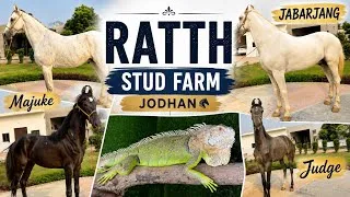 Thumbnail: Ratth Stud Farm Jodhan Farm tour🐎//apne farm di beauty⛳️