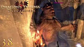 Thumbnail: Dragon's Dogma #38 - Ogres of Mine