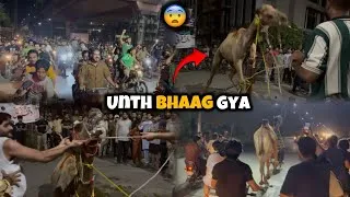Thumbnail: Dangerous Camel Runaway 😱| Public Shocked 🔥