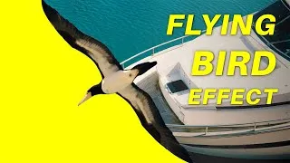 Thumbnail: STUNNING Bird Flying Reveal Animation in PowerPoint + FREE TEMPLATE!