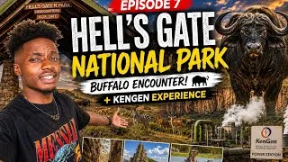 Thumbnail: EP 7 | WE EXPLORED HELL’S GATE NATIONAL PARK! 🦬🌋 | OLKARIA + WILDLIFE 