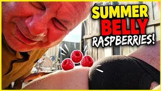 Thumbnail: Summer Belly Raspberries 😂 | Funniest Summer Laughs You’ll See! ☀️🤣