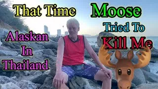 Thumbnail: The Alaskan Moose That Tried To Kill Me 