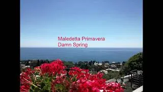 Thumbnail: Maledetta primavera - Loretta Goggi - English translation (Lyric Video)