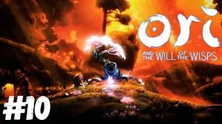 Thumbnail: Ori and the Will of the Wisps - Parte 10 Explorar áreas complexas e achar segredos 😊