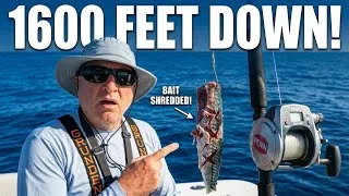 Thumbnail: Deep Drop Fishing 1600 Feet Down - Bait Gets Shredded #deepdrop #deepseafishing