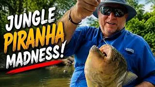 Thumbnail: Surviving the Amazon Jungle to Catch and EAT Giant Piranhas #fishingvideo