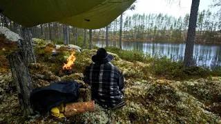 Thumbnail: Strong Rain in a Swedish Forest