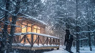 Thumbnail: When the BLIZZARD Hit, This CABIN Became My Lifeline