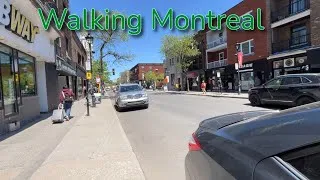 Thumbnail: Walking Wellington Street in Montreal's Verdun Borough 5/22/2026