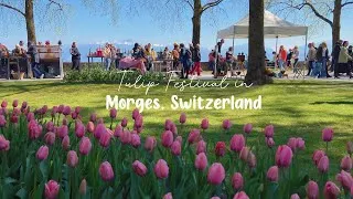 Thumbnail: Tulip Festival in Morges, Switzerland | Spring Travel