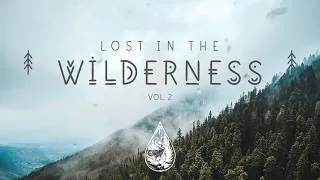 Thumbnail: Lost In The Wilderness ↟ • An Indie/Folk/Alternative Playlist | Vol. 2