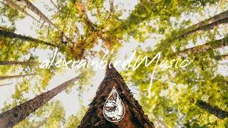 Thumbnail: Driftwood Choir - Tall Pines