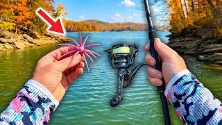 Thumbnail: I Can’t Believe This Thing Keeps Catching Fish (AMAZING Day)