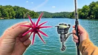 Thumbnail: I Fished The Most Popular Bait in a Tournament (Here’s What Happened)