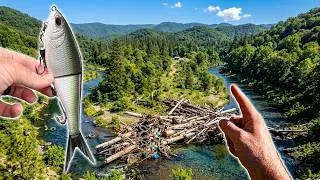 Thumbnail: Exploring a FLOODED Out Creek (Fishing for BIG Fish)