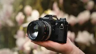 Thumbnail: The Lost Art Of Intentional Photography