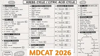 Thumbnail: MDCAT 2026 | Bioenergetics MDCAT | Kreb Cycle 