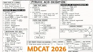 Thumbnail: MDCAT 2026 | Bioenergetics MDCAT | Pyruvic Acid Oxidation 