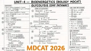 Thumbnail: MDCAT 2026 | Bioenergetics MDCAT | Glycolysis 