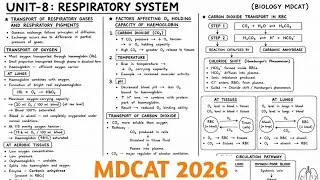 Thumbnail: MDCAT 2026 | Respiratory System MDCAT | Transport Of Carbon Dioxide | Unit 8