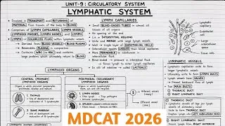 Thumbnail: MDCAT 2026 | Circulatory System MDCAT | Lymphatic System | Unit 9