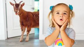 Thumbnail: Alice explore les animaux grâce aux sons et aux empreintes de leurs pattes