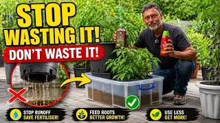 Thumbnail: STOP Wasting Liquid Fertiliser! 🌱 The Best Way to Feed Container Plants