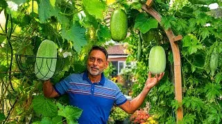Thumbnail: My August Kitchen Garden Is Thriving! | Deshi Vegetable Harvest