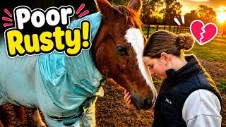 Thumbnail: RUSTY'S INJURED!😱❤️‍🩹