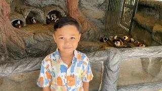 Thumbnail: Jalan2 Di Zoo Negara Malaysia