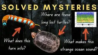 Thumbnail: Four Solved Scientific Mysteries