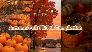 Thumbnail: Autumn/Fall TikTok  Compilation cause it’s August already! 🍂🎃🤎🍁 | allaboutfall