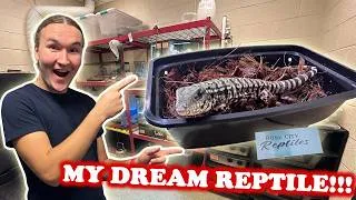 Thumbnail: I Waited a Decade to Get This Lizard!