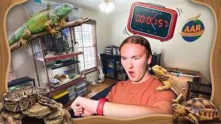 Thumbnail: It Takes HOW Long to Clean my Reptile Room!