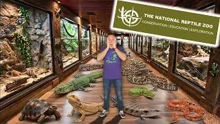 Thumbnail: Going to The National Reptile Zoo of Ireland!