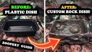 Thumbnail: How to Turn a Boring Dish Into a Custom Water Dish - Zoopoxy Build Guide